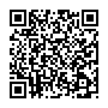 QR code for Z447173