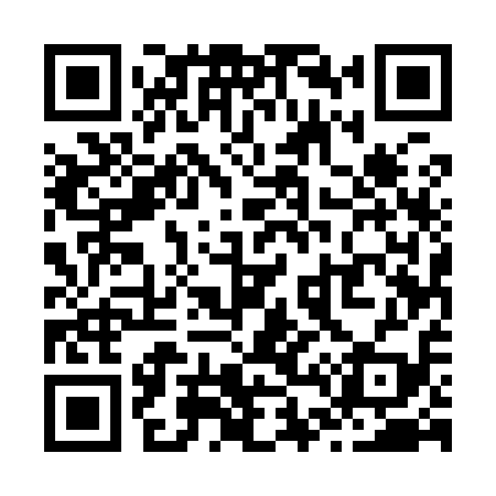 QR code for Z45919