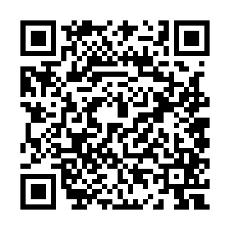 QR code for Z461450
