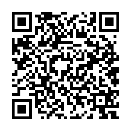 QR code for Z462248
