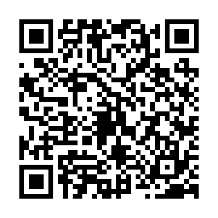 QR code for Z462370