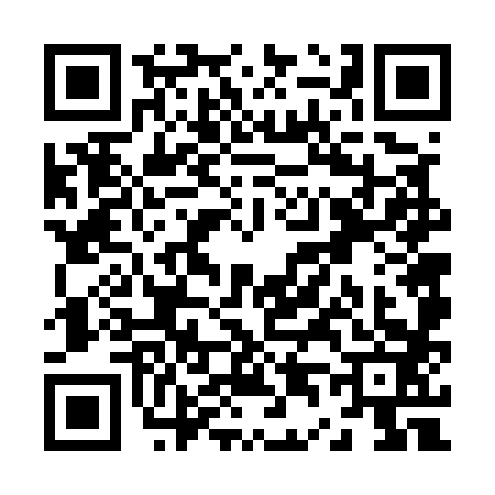 QR code for Z465838