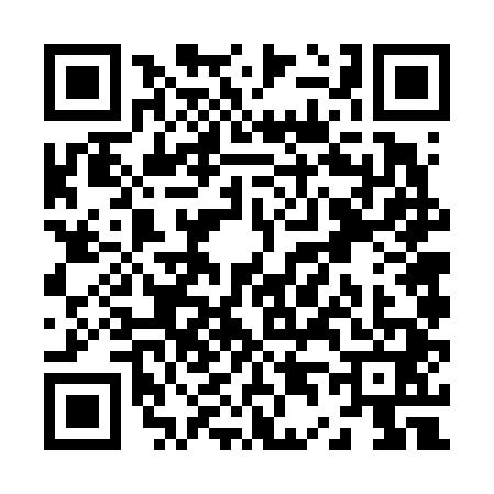QR code for Z466417