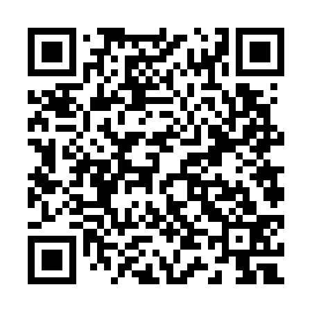QR code for Z46733