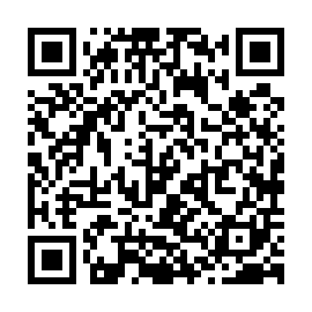 QR code for Z48501