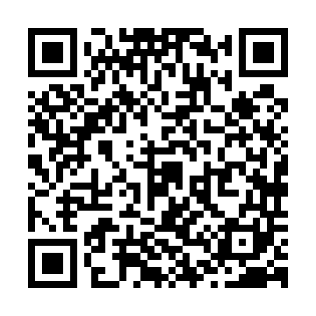 QR code for Z48541
