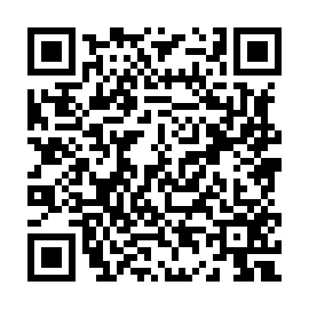 QR code for Z488565