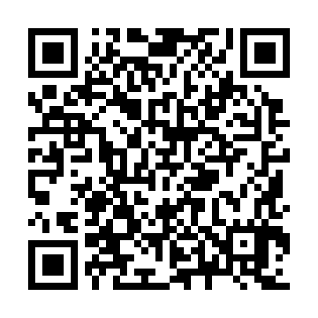 QR code for Z49387