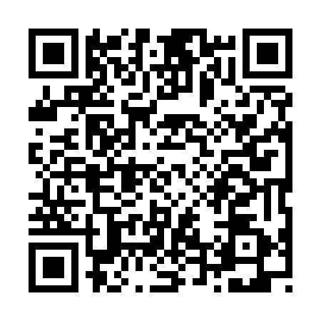 QR code for Z495629