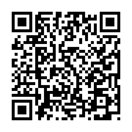 QR code for Z496505