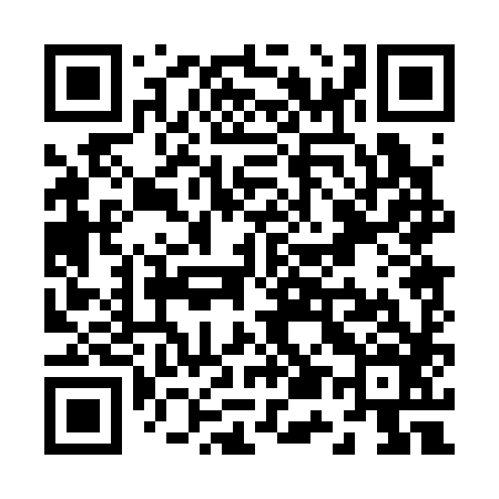 QR code for Z50386