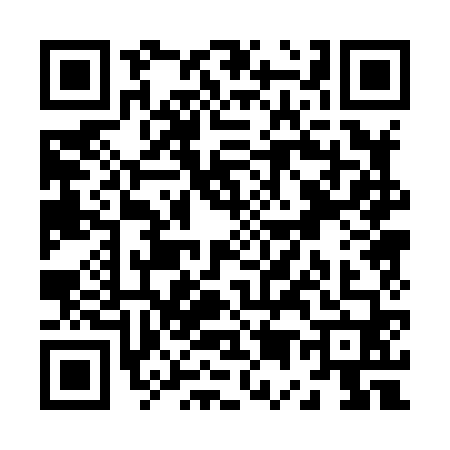 QR code for Z508603