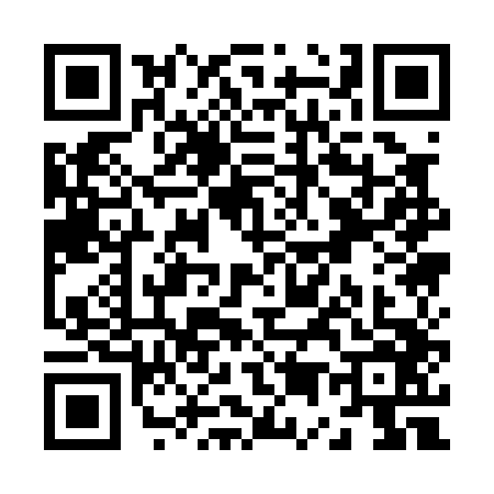 QR code for Z510468