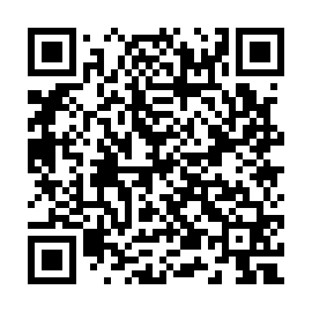QR code for Z51160