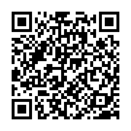 QR code for Z51319