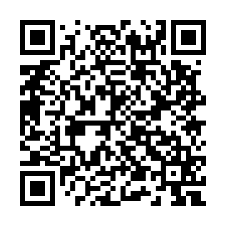 QR code for Z51565