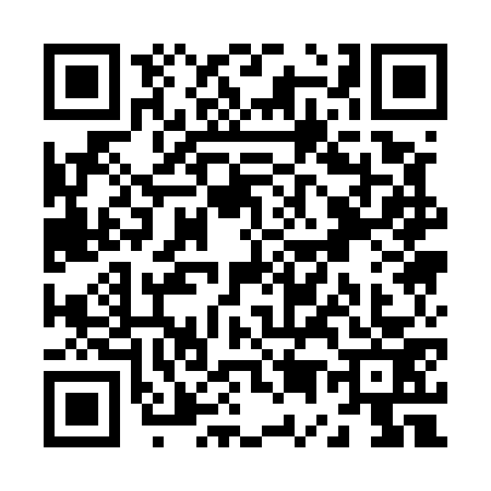 QR code for Z515733