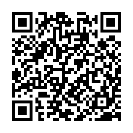 QR code for Z51594