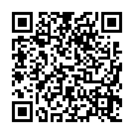 QR code for Z516370