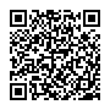 QR code for Z51913