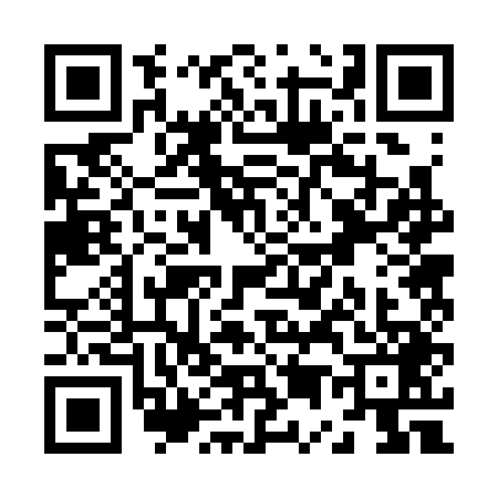 QR code for Z523490