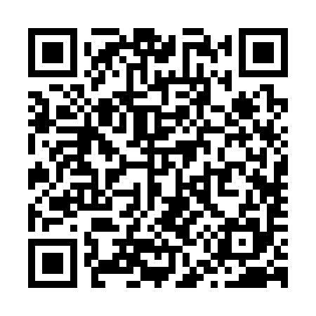 QR code for Z52395