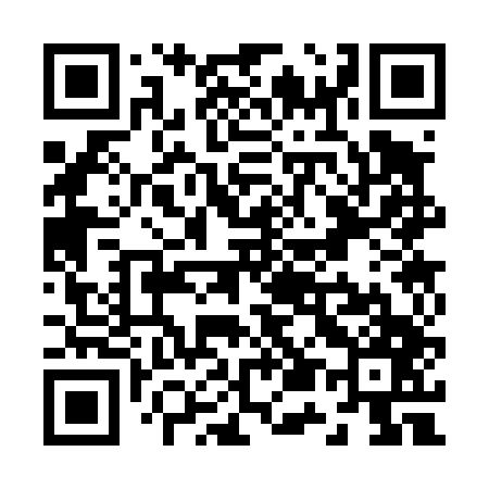 QR code for Z53447