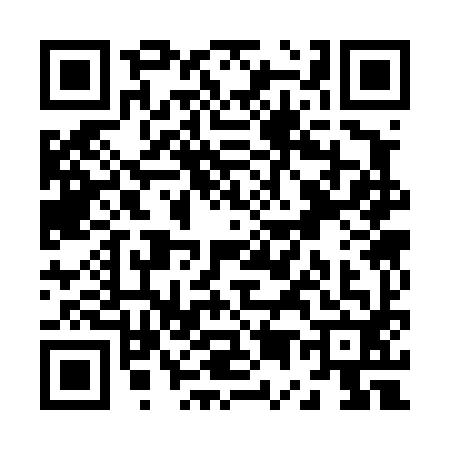 QR code for Z534920