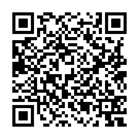 QR code for Z539330