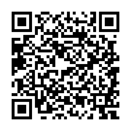 QR code for Z540811