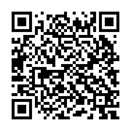 QR code for Z54222