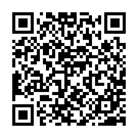 QR code for Z54387
