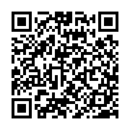 QR code for Z54741