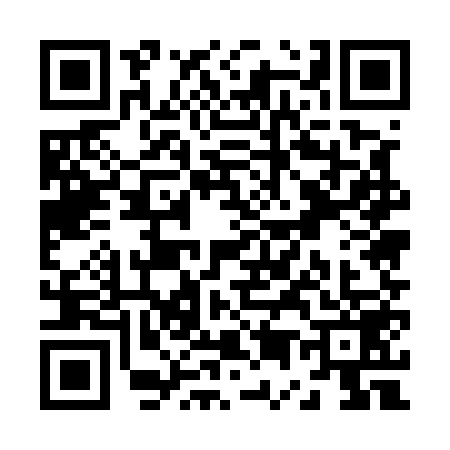 QR code for Z555591