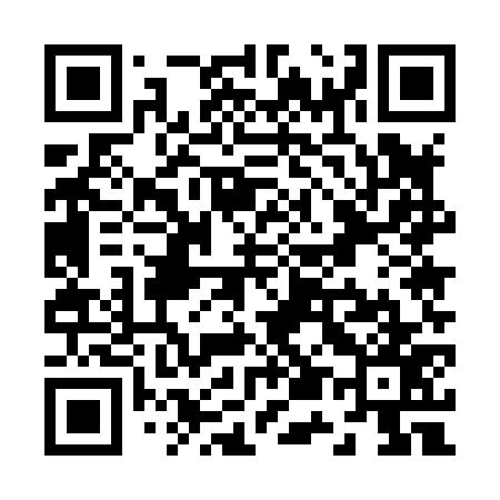 QR code for Z55877