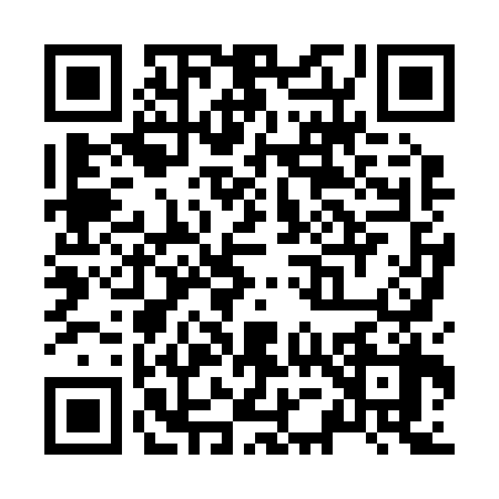 QR code for Z582385
