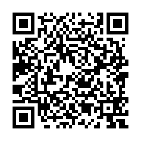 QR code for Z586991