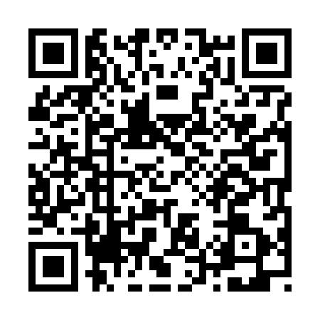 QR code for Z596831