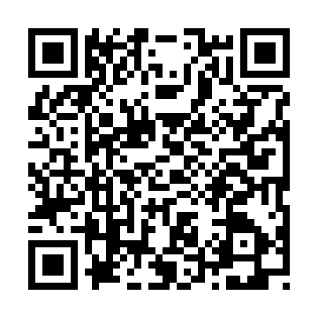 QR code for Z597174