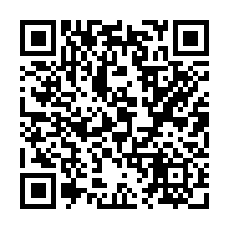QR code for Z60339