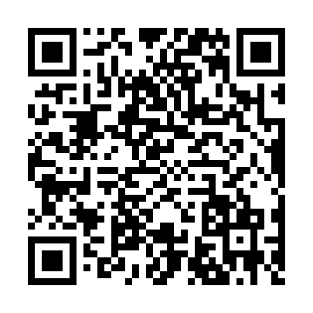 QR code for Z603711