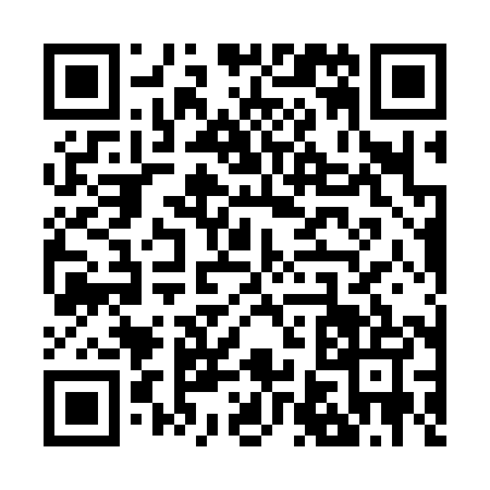 QR code for Z603859