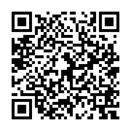 QR code for Z613484