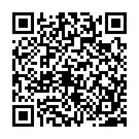 QR code for Z613567