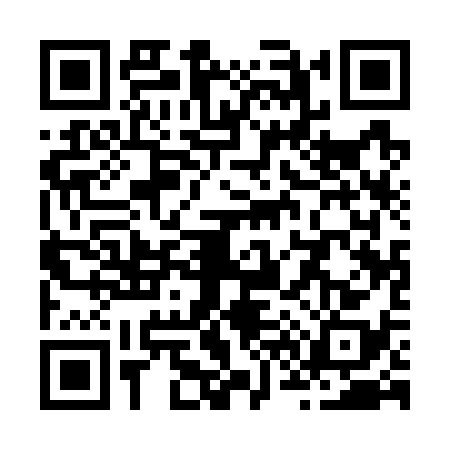 QR code for Z617385