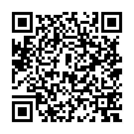 QR code for Z618589