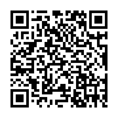 QR code for Z619055