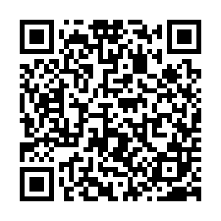 QR code for Z63302