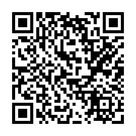QR code for Z63993