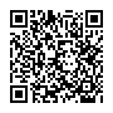 QR code for Z641733